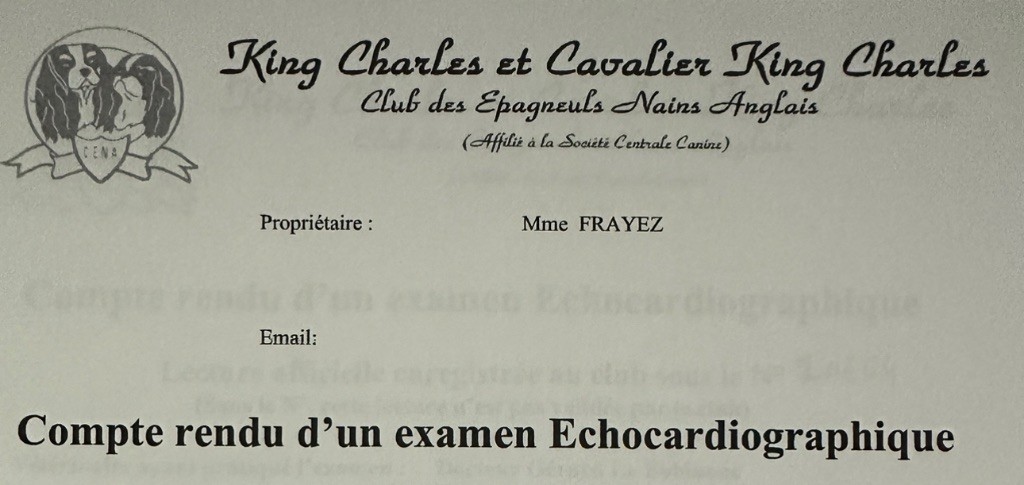 écho cardiaque